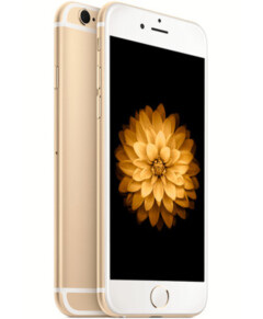 Apple iPhone 6 16gb Zlatý (Gold) vocabulary.inIcoola